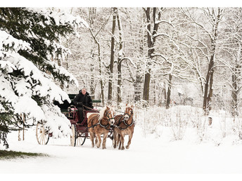 Wendenkönigs kleine Spreewald- Auszeit im Winter