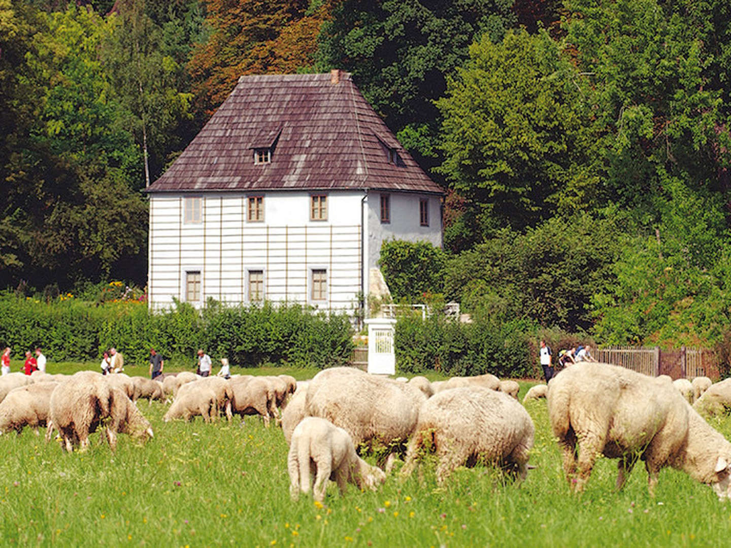 Advent im Konsumhotel Dorotheenhof Weimar - 3 Tage