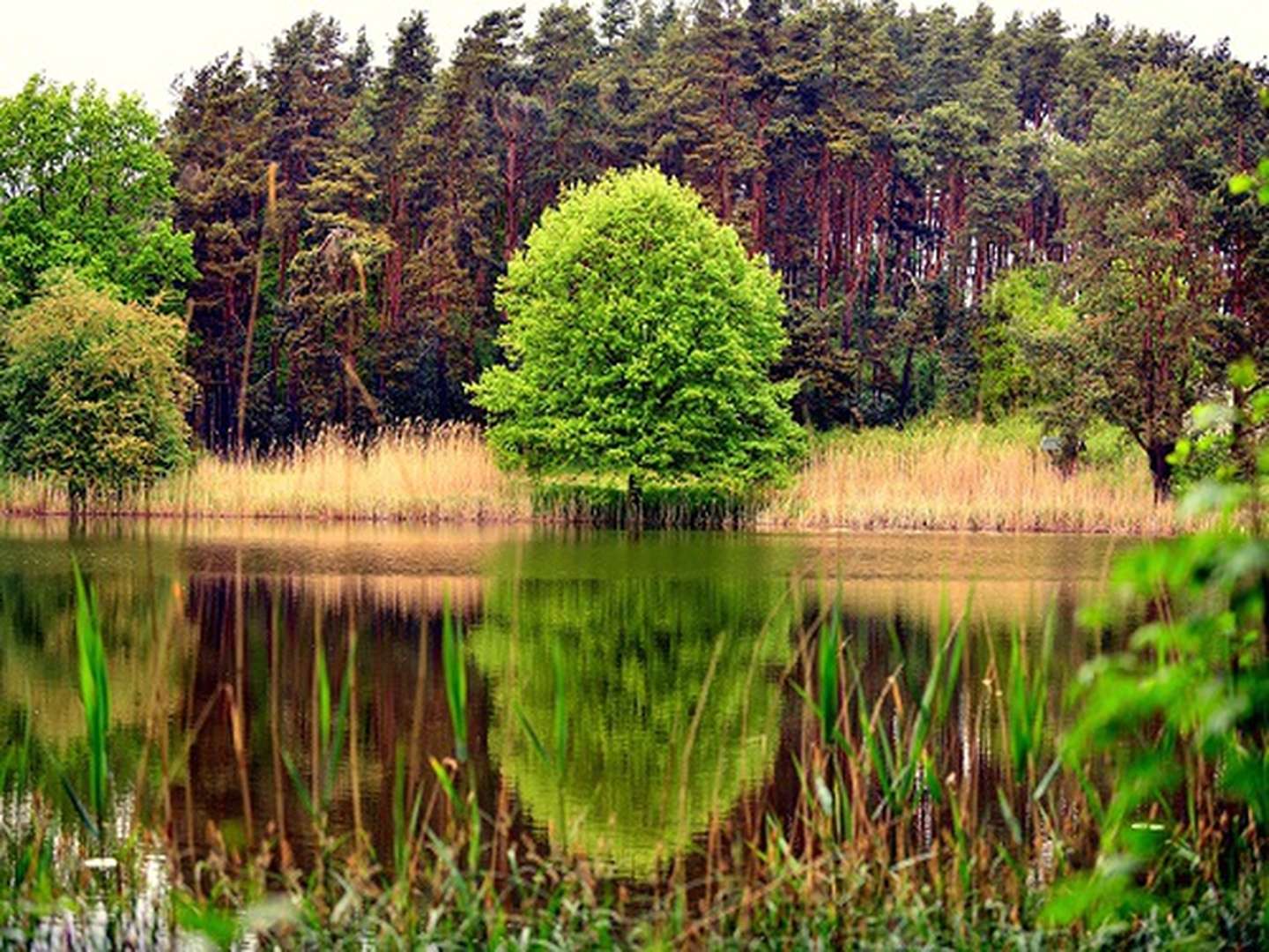 Kurzurlaub - den gönn ich mir an der Müritz I 4 Nächte