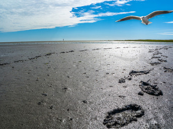 Winter an der Nordsee - Frische Luft am Meer mit Abendessen