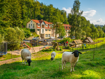 Waldbaden - 6 Tage bleiben, 5 zahlen - mit Halbpension