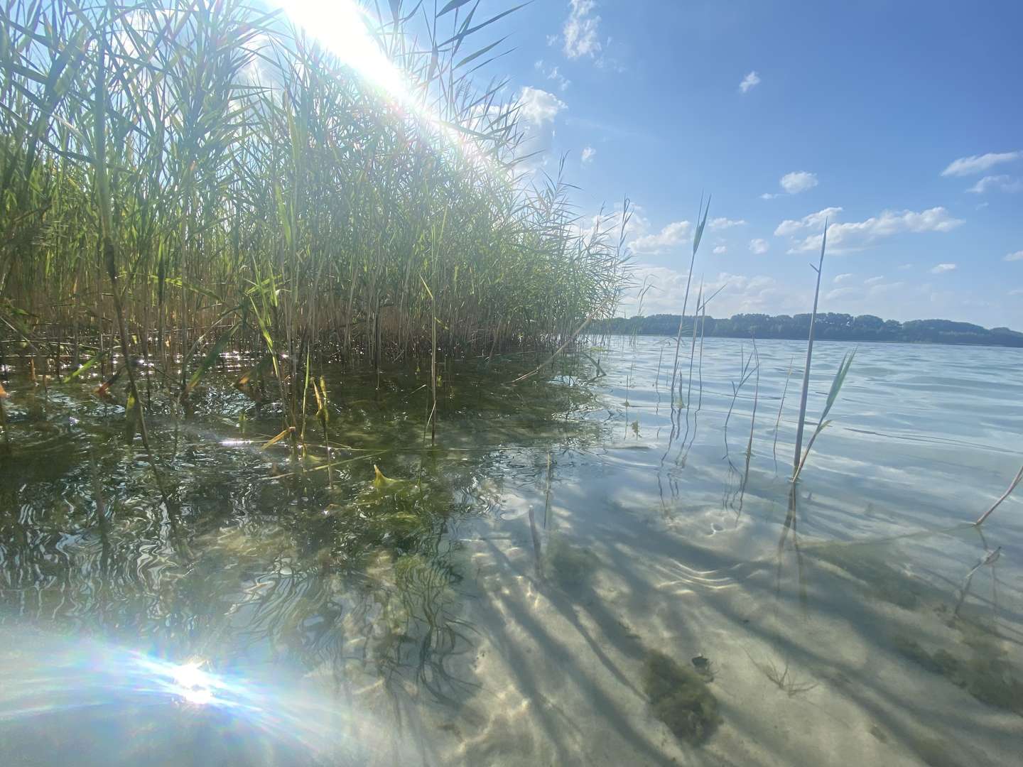 Oster- Kurzurlaub im Herzen der Natur | 5 Tage am Plauer See