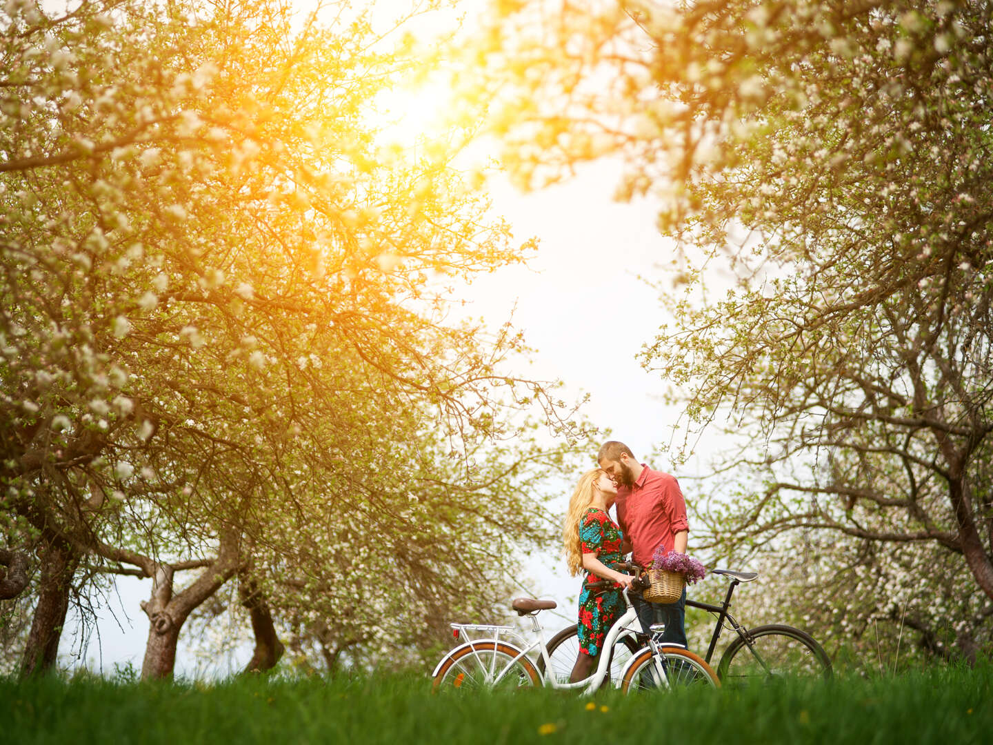 Fahrradurlaub am Plauer See inkl. Lunchpaket & Leihfahrrad 8 Tage