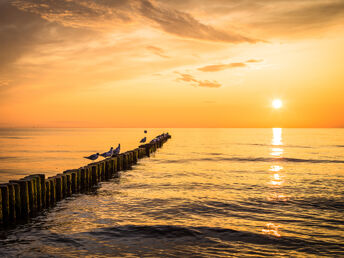 Sommer im Seebad Ueckermünde - 8 Tage ENTSPANNEN.  GENIEßEN.  WOHLFÜHLEN. 