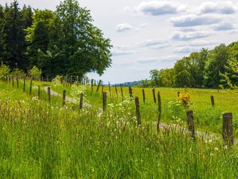 Zeit zu Zweit - Romantik- und Kuschelarrangement im Bergischen Land