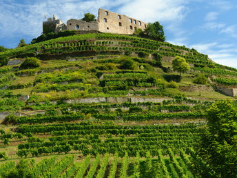 Löwenzauber mit THERME-Hopping 