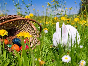 Ostern im Harz