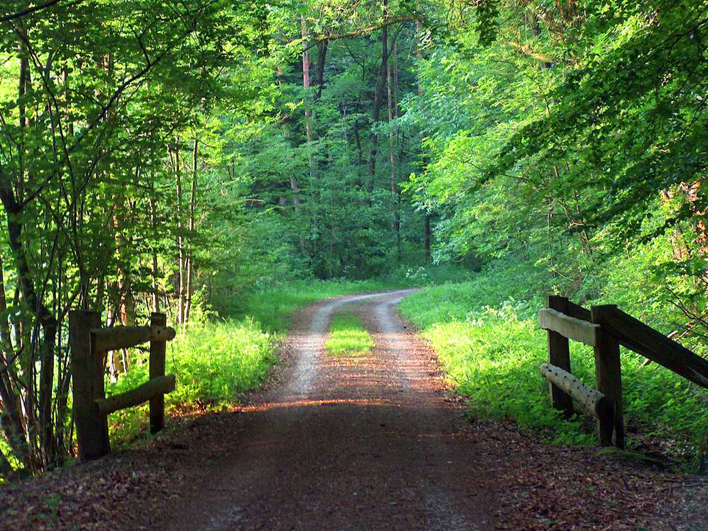 4 Tage - Auszeit im Osnabrücker Land & am Teutoburger Wald 