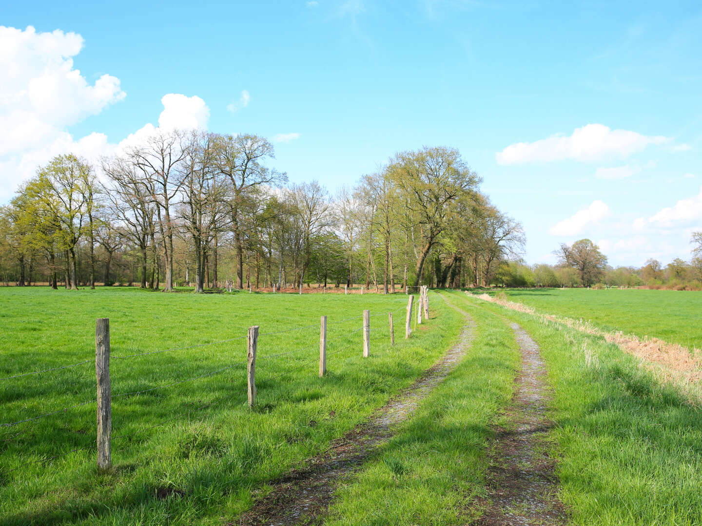 2 Tage - Auszeit im Osnabrücker Land & am Teutoburger Wald 