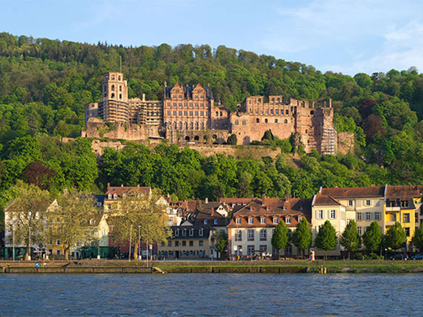 Ich hab' mein Herz in Heidelberg verloren 5 Tage