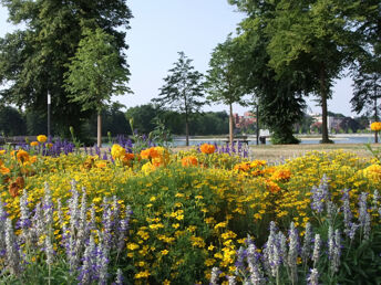 Winterzeit in Schwerin genießen