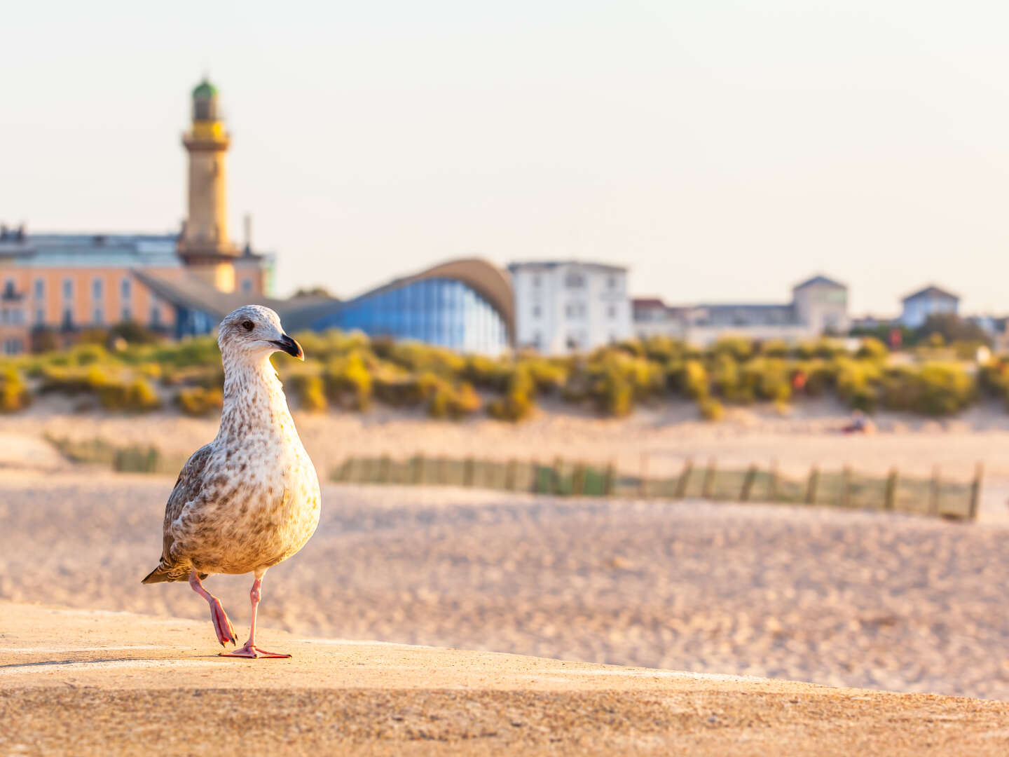 Auszeit an der Ostsee in Rostock