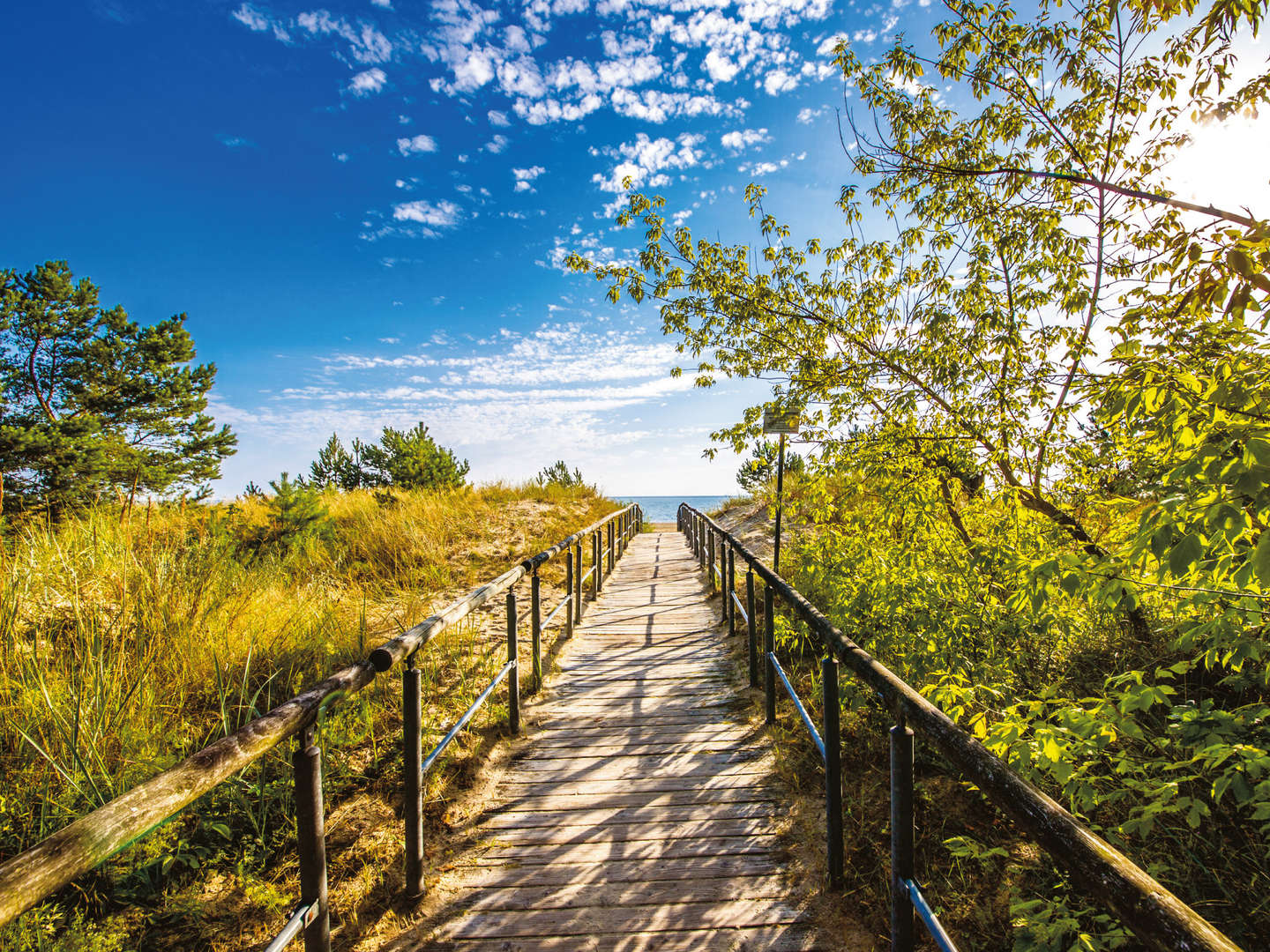 7 = 6 auf Usedom inkl. Halbpension