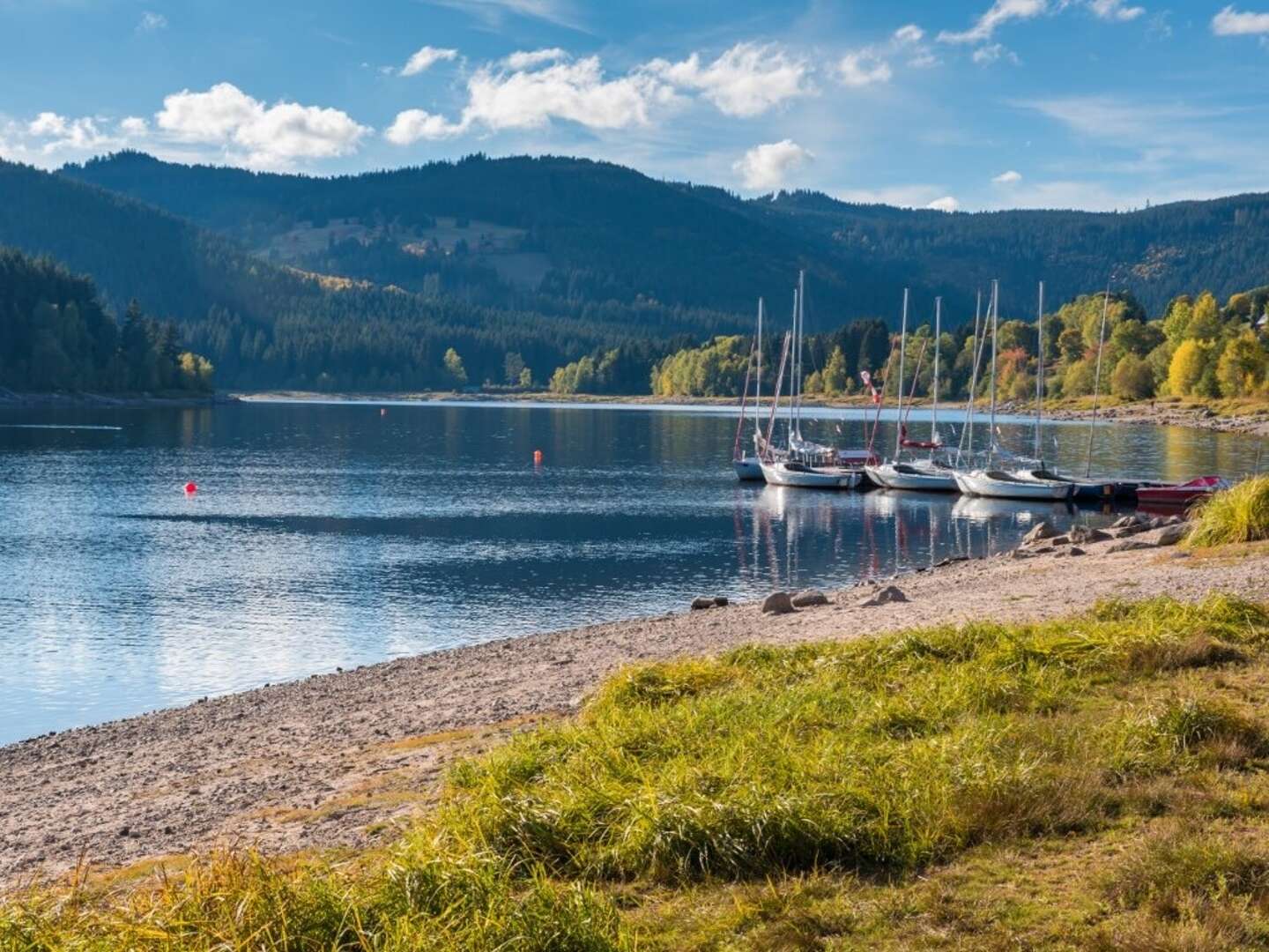 Schwarzwaldseen und Traumlocations Winterschnäppchen