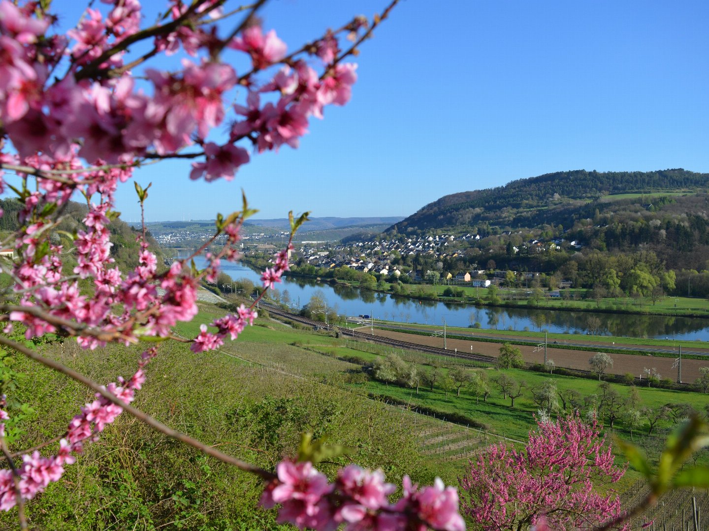 Wandern zu jeder Jahreszeit an der Mosel 2025/2026