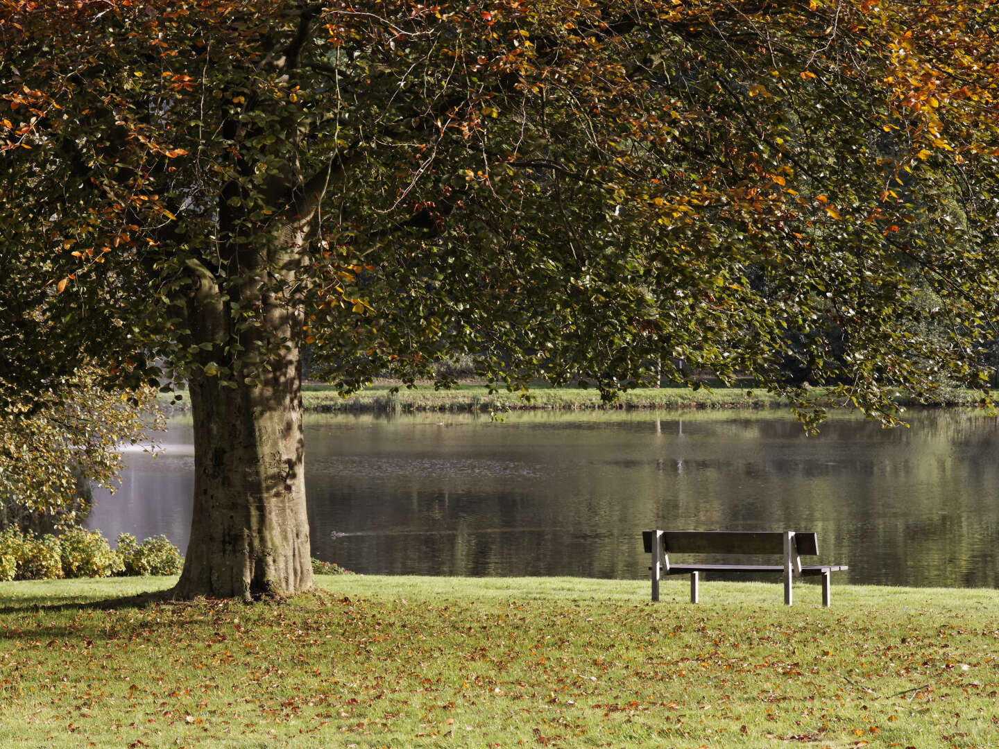 Auszeit am Teutoburger Wald | 5 Tage  