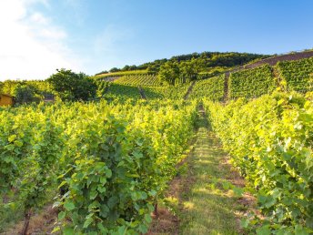 Kleine Auszeit an der Mosel