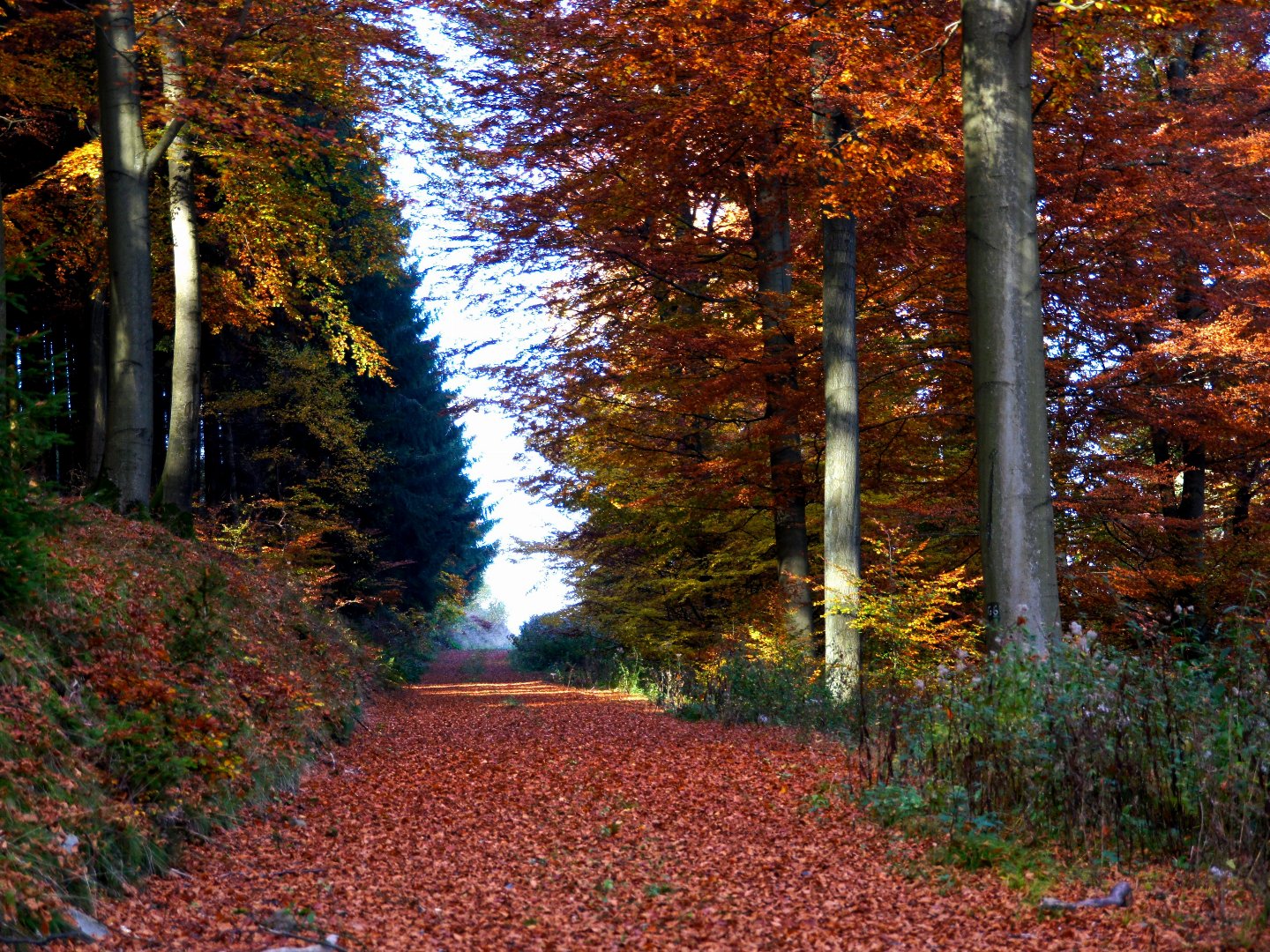 Herbst und Winter Wander-Angebot mit Menü