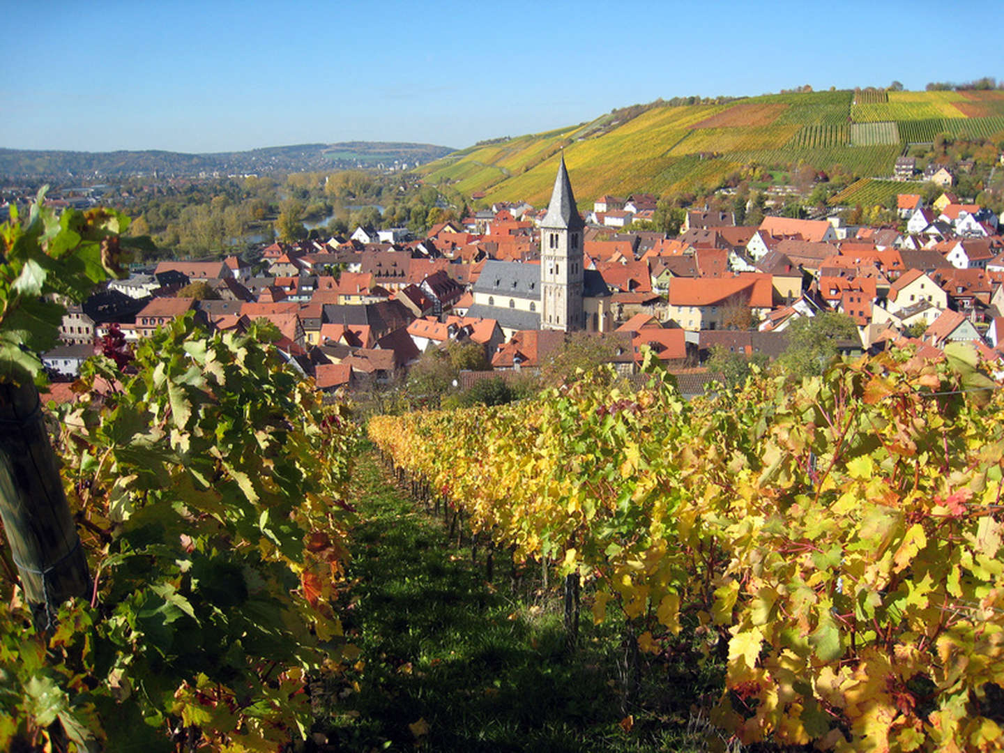 Guter Wein ist Poesie in Flaschen - 2 Nächte Auszeit inkl. Weinprobe in Unterfranken