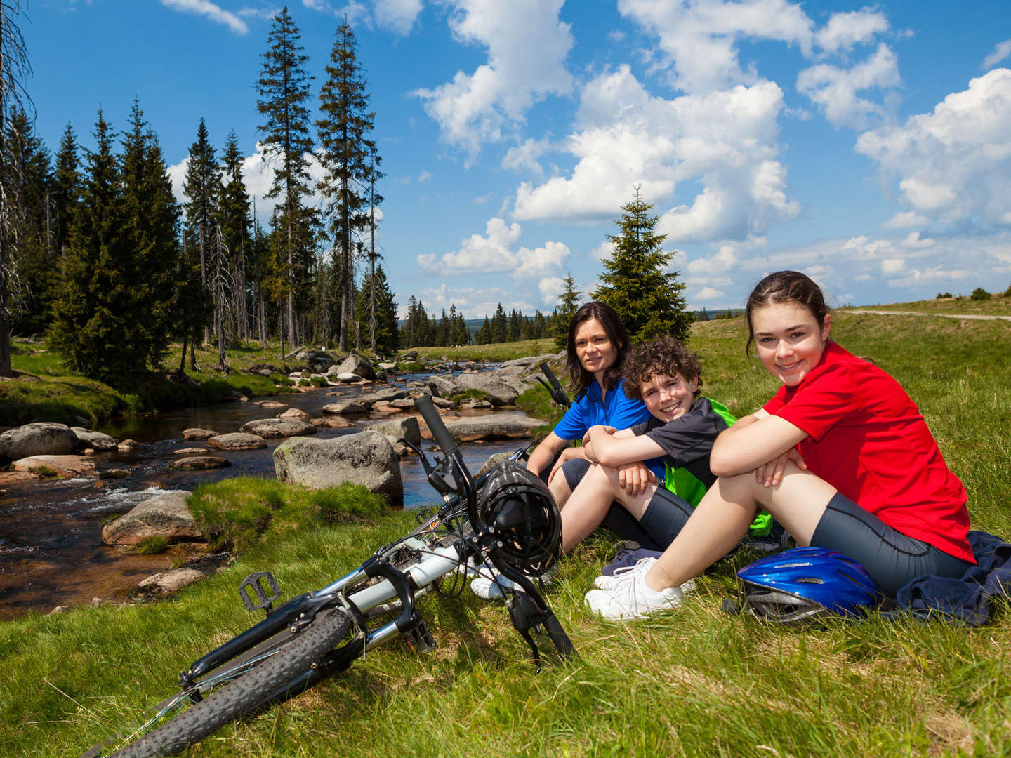 Sommerhitt im Waldfrieden 