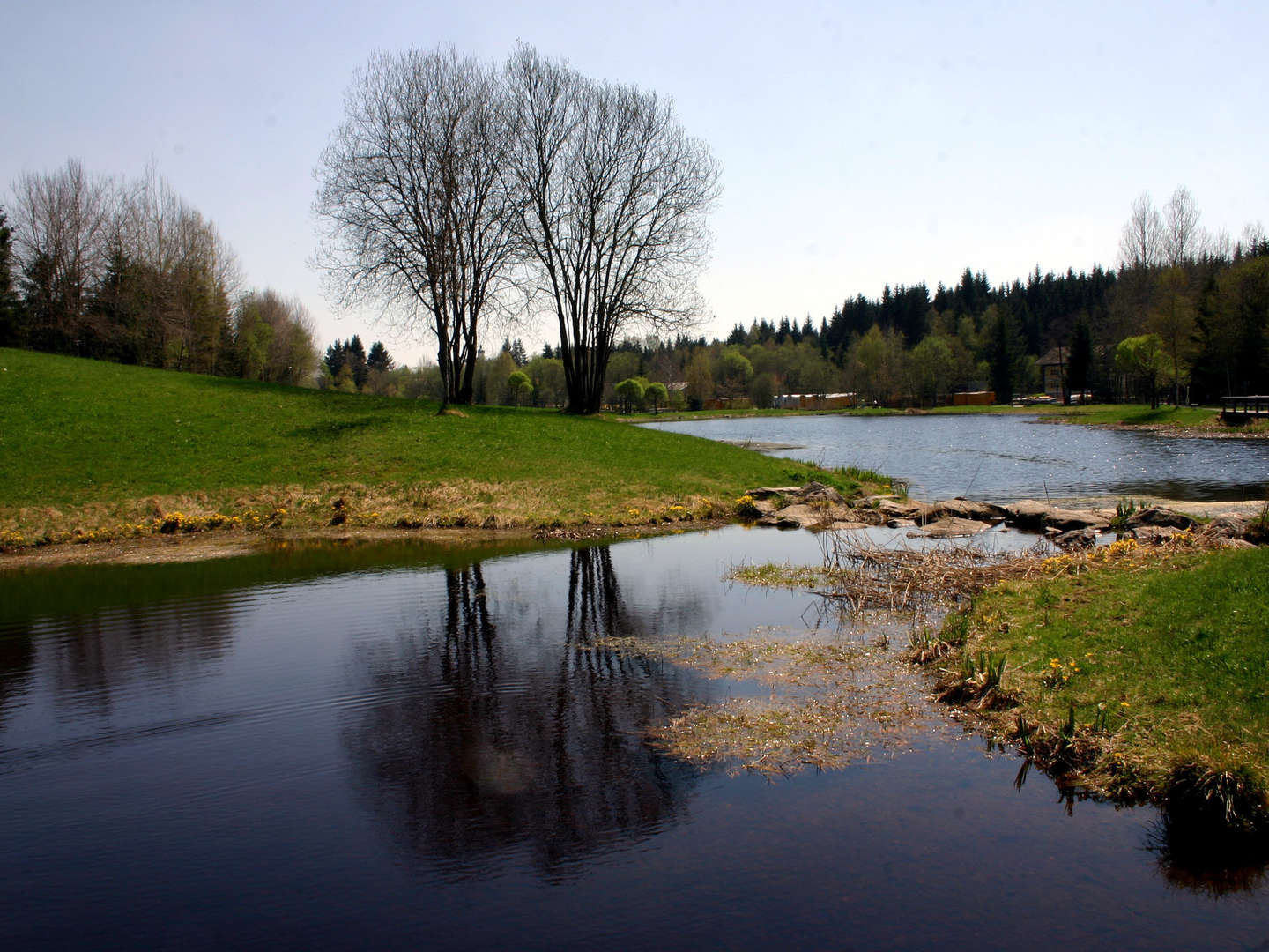 Silvester im Waldfrieden 