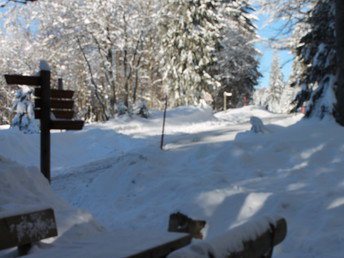 Silvester im Waldfrieden 