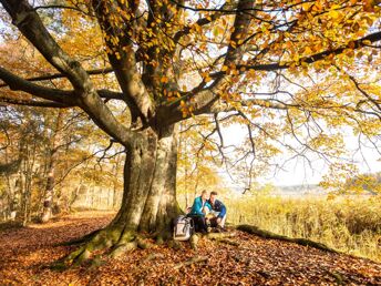 4 Tage Natur-Urlaub im Grünen vor der Metropole Hamburg