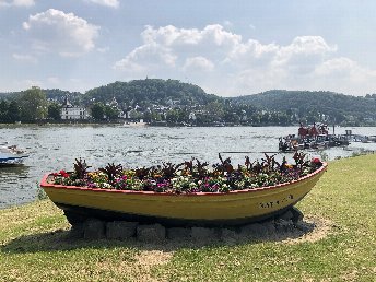 3 Tage Erholung am Rhein - Therme inkl. Sauna & HP