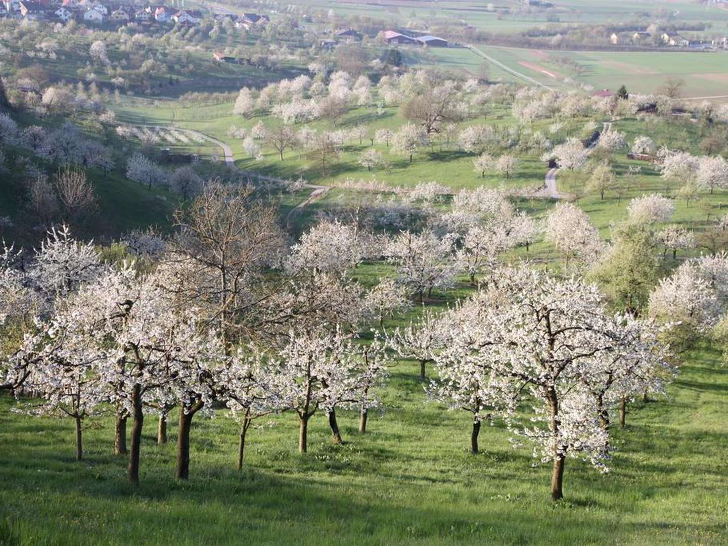 HeimatGenuss - Aktiv im Naturpark Schönbuch unterwegs 