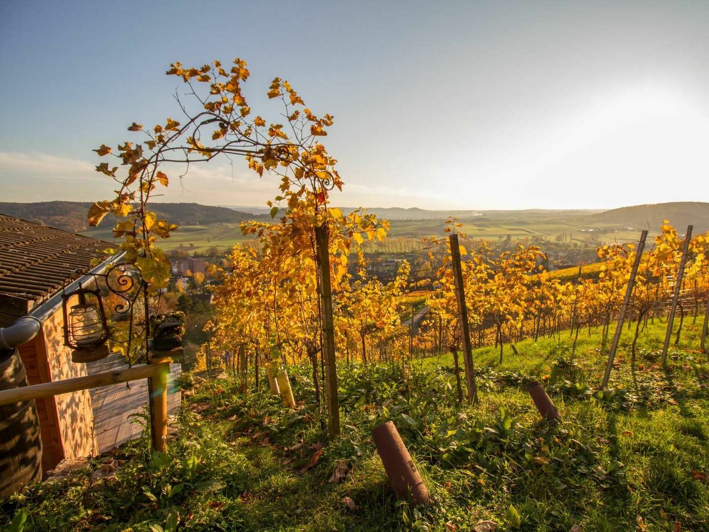 Stop & Go in Herrenberg bei Stuttgart