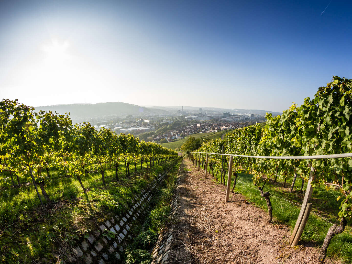 Wein-Wander-Kurzurlaub - im Naturpark Baden-Württemberg