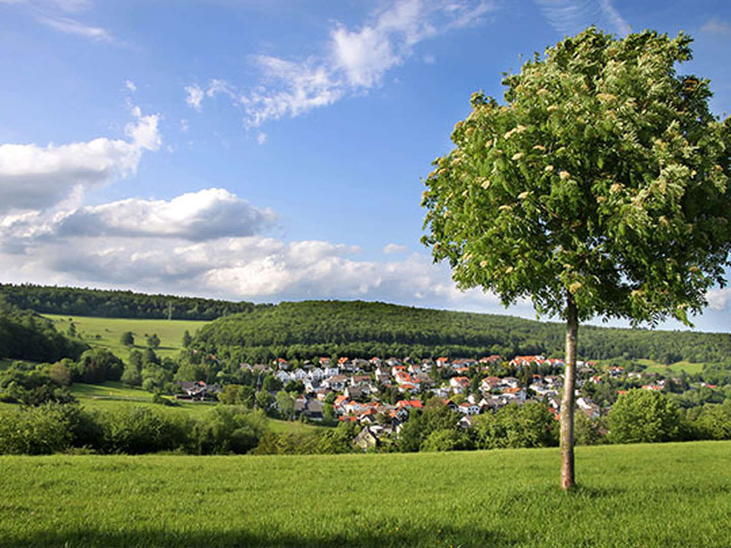 8 Tage am Rhein -  inkl. Wandern, Radfahren & Therme