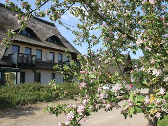 Kurzurlaub an der Mecklenburgischen Seenplatte 3 Nächte