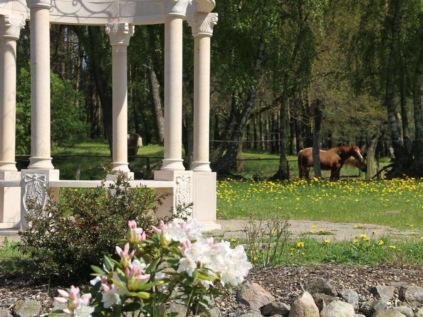 Kurzurlaub an der Mecklenburgischen Seenplatte 3 Nächte