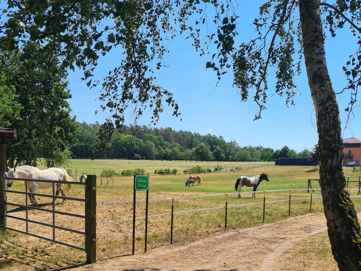 Kurzurlaub an der Mecklenburgischen Seenplatte 3 Nächte