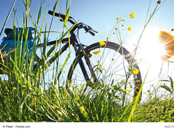 Sommer in der Lüneburger Ostheide