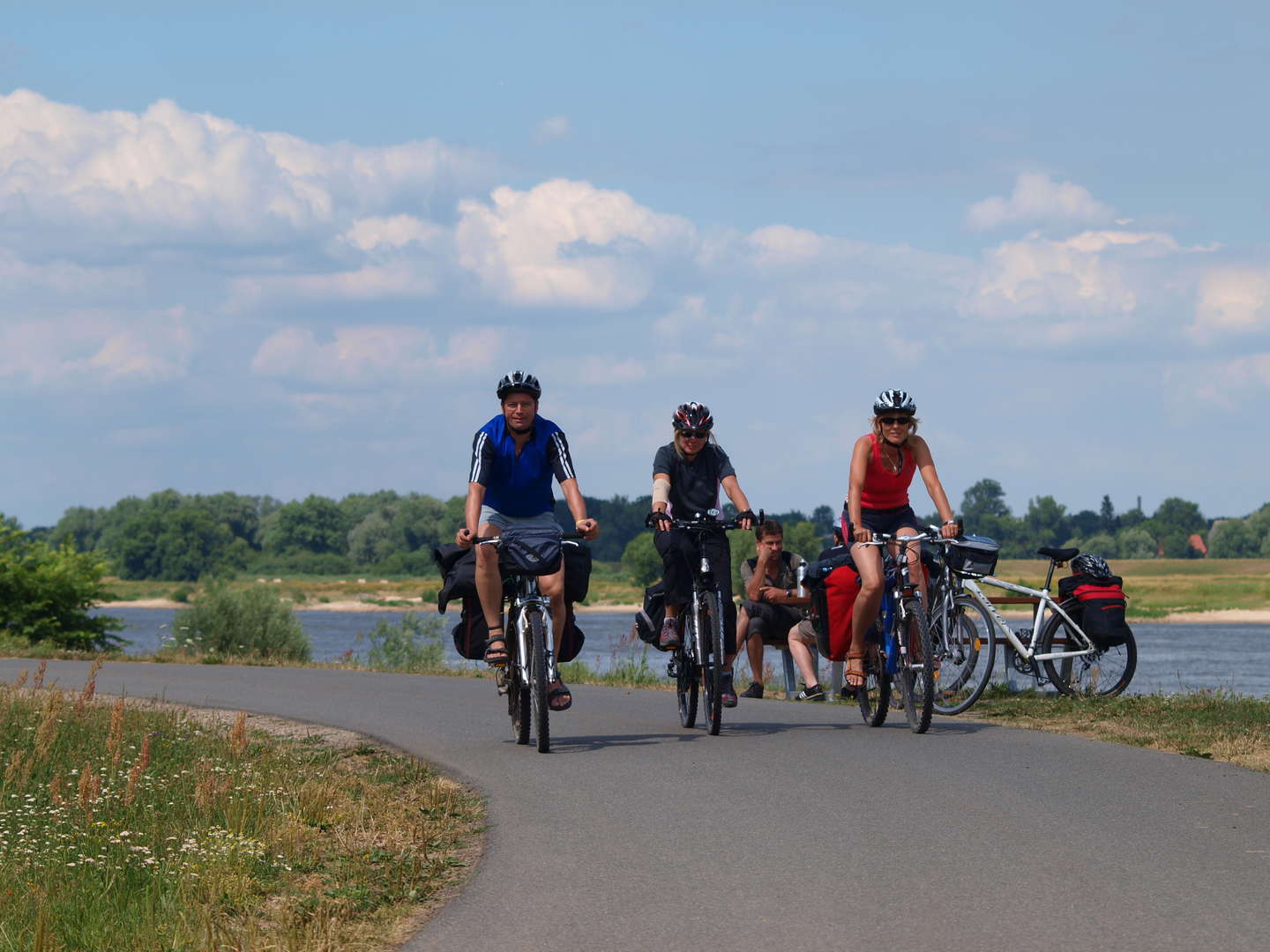 Sommer in der Lüneburger Ostheide