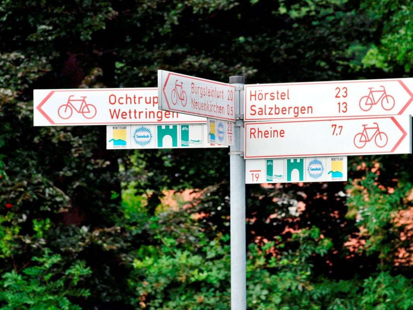 4 Tage Radwandern de luxe im Münsterland - inkl. HP 