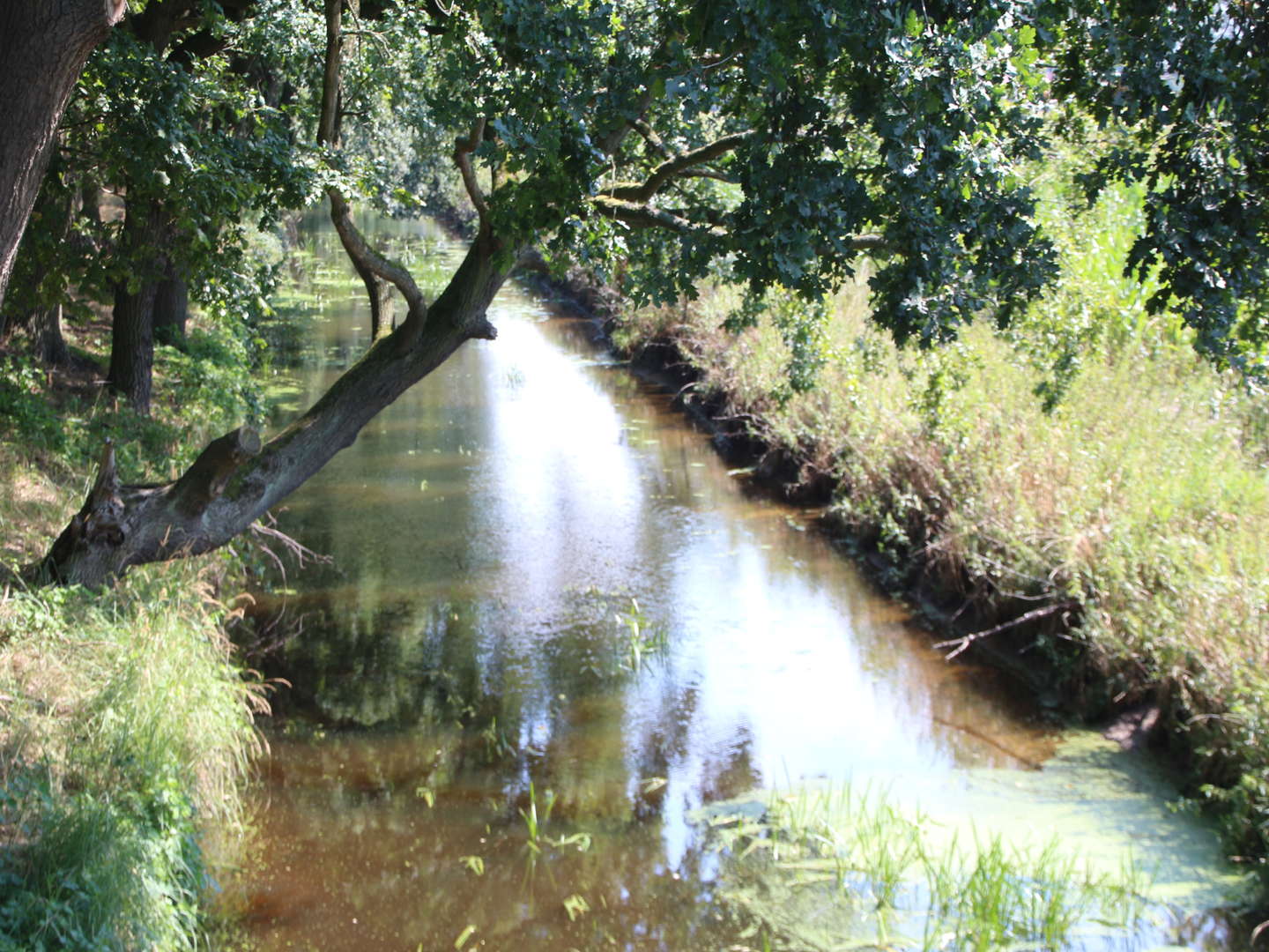 3 Tage - E-Biken & Wandern mit Genuss in Weyhausen/Wolfsburg