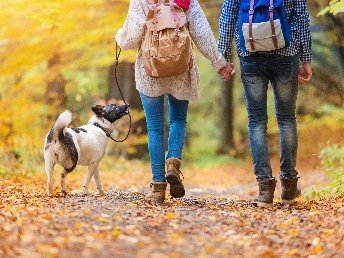 Wellness-Kurzreise - 3 Tage in der Weltkulturerbe-Stadt Quedlinburg