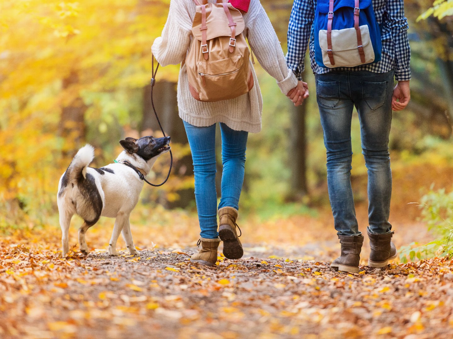 Wellness-Kurzreise - 3 Tage in der Weltkulturerbe-Stadt Quedlinburg