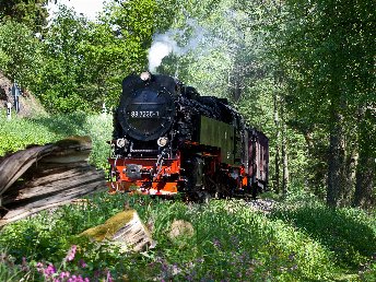 Wellness-Kurzreise - 3 Tage in der Weltkulturerbe-Stadt Quedlinburg