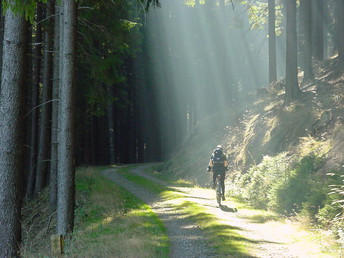 3 Wellnesstage im Achtermann in Goslar