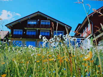 2 Tage zur Bergwiesenblüte in den Harz 