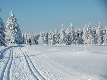 Vier-Jahreszeiten im Sauerland inkl. Abendessen