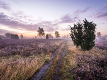 Kulinarischer Zwischenstopp in der Lüneburger Heide