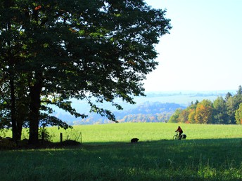 Urlaubszeit für den Uhrenliebhaber - 4 Tage inkl. Halbpension