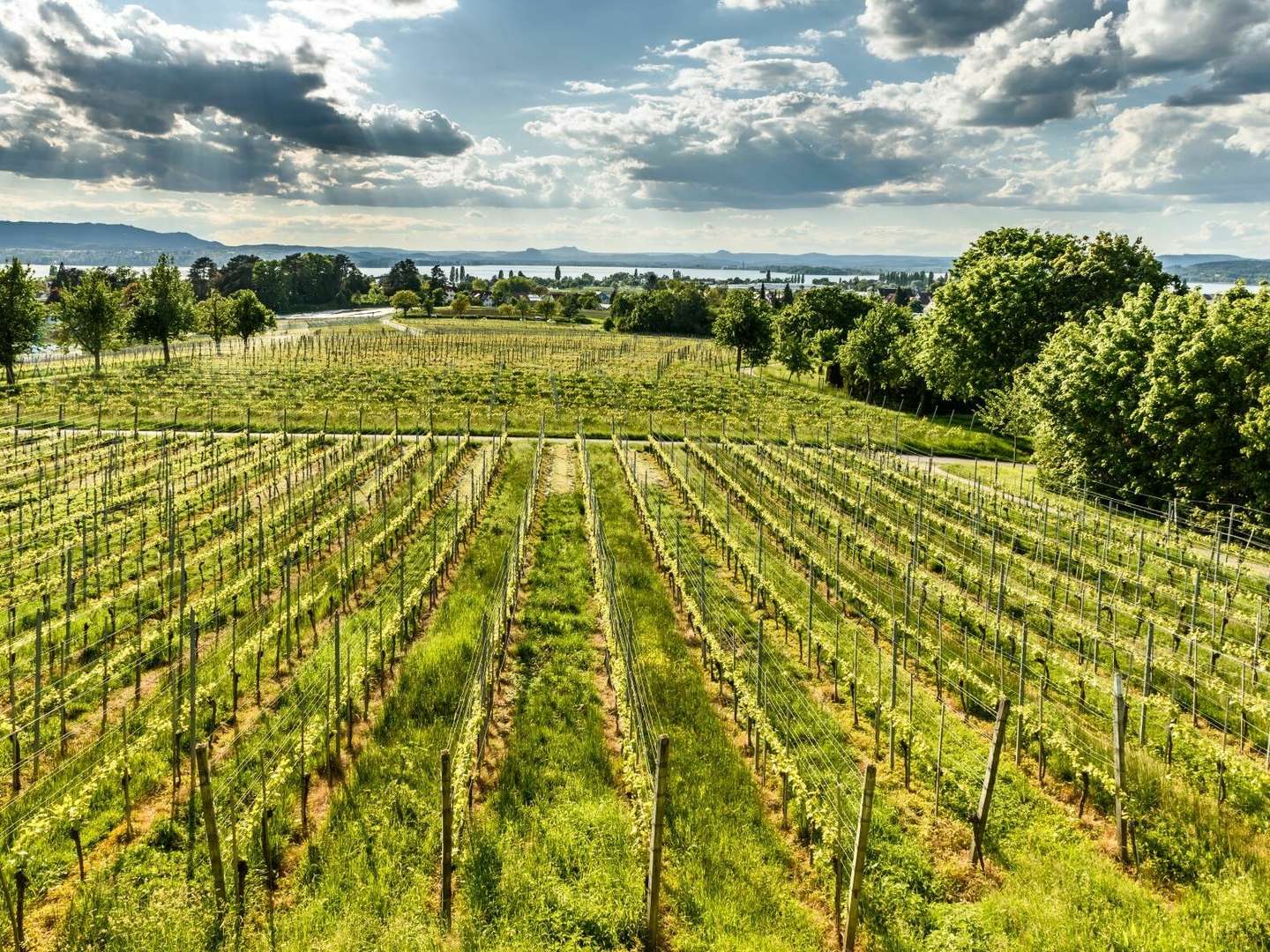 Allgäu-Bodensee Aktivurlaub