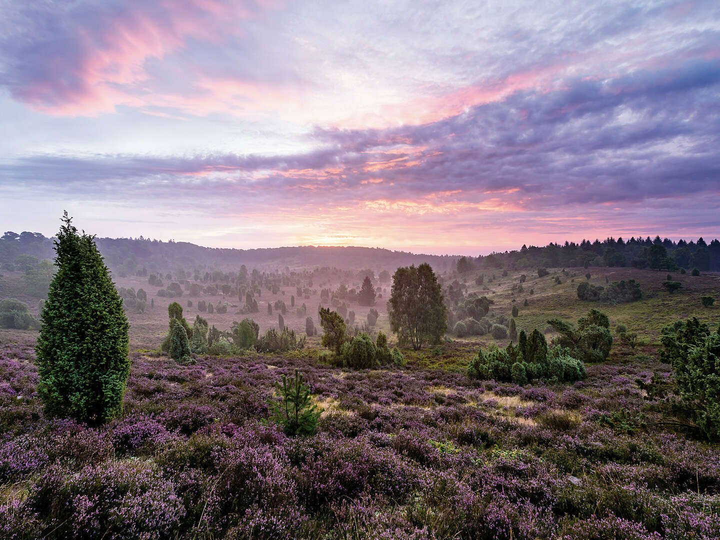 5*-Exklusiv-Kurzurlaub in der Lüneburger Heide | 2 Tage