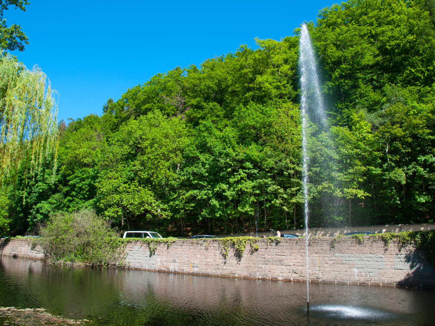 Romantische Tage in Bad Harzburg